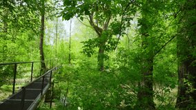 4k stock video footage of old black metal foot bridge across narrow river flowing in green spring forest