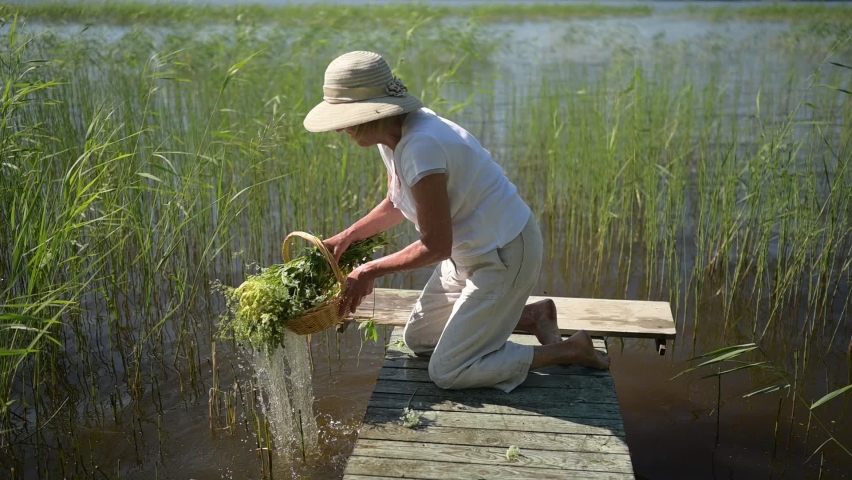 Happy smiling elderly senior woman in straw hat washes dips in natural lake plants flowers in basket on wooden pier. Farming, gardening, agriculture, retired old age people. Country summer rest.