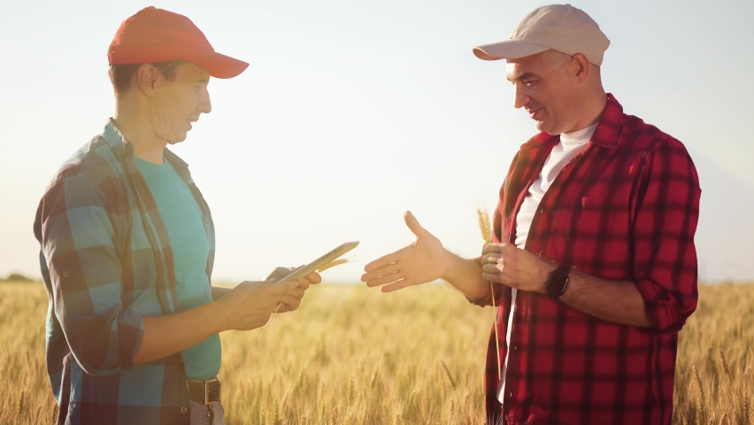 agriculture. two farmers shake hands conclude a business contract in a wheat field. agriculture sale harvest concept. handshake business farmers in a wheat field. shake hands agriculture lifestyle Royalty-Free Stock Footage #1075500998
