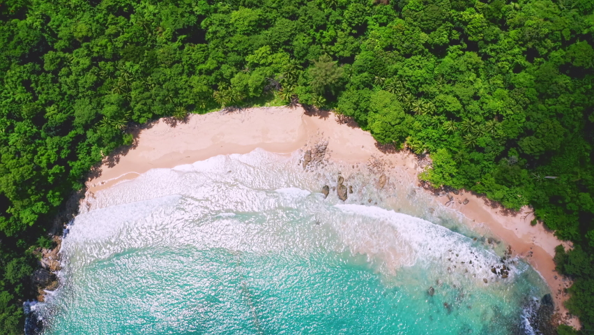 4K Aerial drone top down view of beautiful beach blue sea. Beach with coconut palm tree. Aerial view drone white beach sand. Blue sea clear water. Freedom Beach, Phuket, Thailand. | Shutterstock HD Video #1075502453