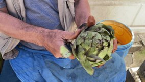man holding knife peeling artichoke skins new fresh crop organic vegetable macro detail shot buy 4K video buying.