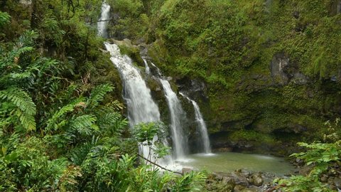 Hana Highway Stock Video Footage 4k And Hd Video Clips Shutterstock