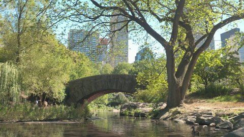 Tourist and locals cross a stream while exploring a scenic park in downtown New York City. Idyllic shot of a bridge crossing a stream in the middle of idyllic Central Park on a sunny autumn day.