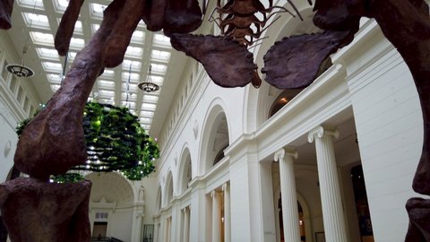 Chicago , Illinois , United States - 07 04 2021: Dinosaur Bones Skeleton Display At Museum Exhibit