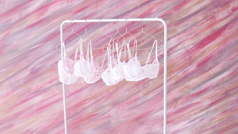 Womens Light Underwear Rack Indoor Pink Wall