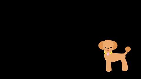 トイプードルイラスト Stock Video Footage 4k And Hd Video Clips Shutterstock トイプードルイラスト Stock Video Footage 4k And Hd Video Clips Shutterstock