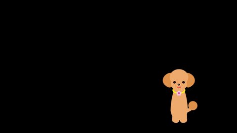 トイプードルイラスト Stock Video Footage 4k And Hd Video Clips Shutterstock トイプードルイラスト Stock Video Footage 4k And Hd Video Clips Shutterstock