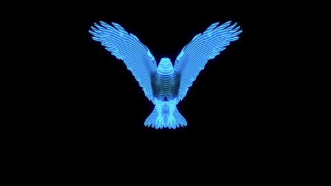 17 Eagle Hologram Stock Video Footage - 4K and HD Video Clips | Shutterstock 17 Eagle Hologram Stock Video Footage - 4K and HD Video Clips | Shutterstock