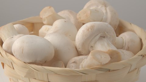 young champignon mushrooms rotate in a deoevyan plate. Eco products for a healthy life. Raw mushrooms on plate. close-up. champignon on plate.