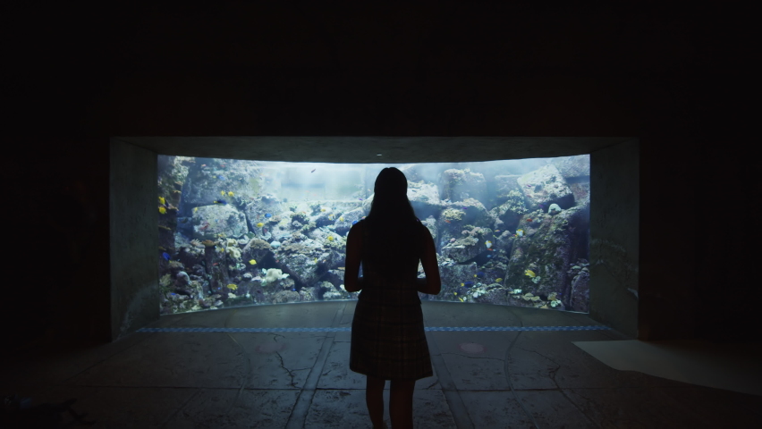 Woman viewing aquarium exhibit with large coral reef and tropical fish. Back view of a woman walking towards large fish tank in Dubai Aquarium | Shutterstock HD Video #1075569710