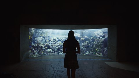 Woman viewing aquarium exhibit with large coral reef and tropical fish. Back view of a woman walking towards large fish tank in Dubai Aquarium