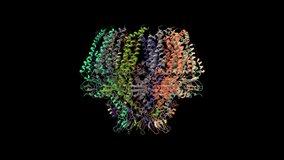 Atomic structure of the Epstein-Barr virus portal, structure I, animated 3D cartoon and Gaussian surface model in two purpendicular projections, PDB 6rvr, black background