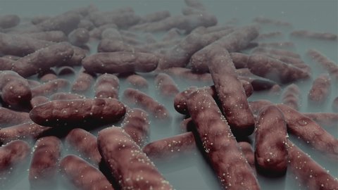 3d animation of bacteria colony 