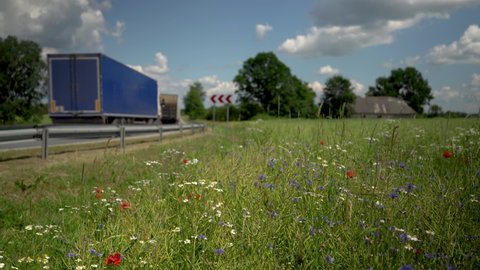 A turn of the highway against the backdrop of bright wildflowers. A sharp turn sign and an iron fence. Flowers sway in the wind against the background of passing trucks. Sunny summer day in Latvia
