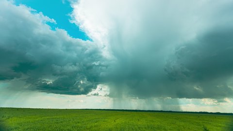 Rain Rainy Clouds Above Countryside Rural Field Landscape With Young Green Wheat Sprouts In Spring Summer Cloudy Day. Heavy Clouds Above Agricultural Field. Young Wheat Shoots 4K time-lapse, timelapse