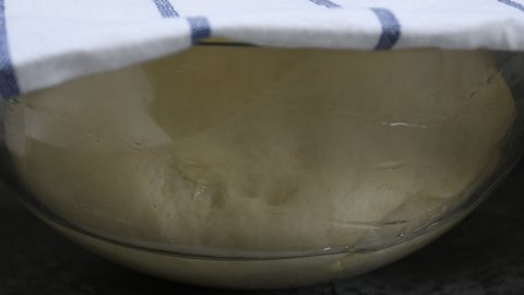 yeast dough rising for baking