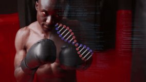 Animation of digital interface with rotating dna strand and data processing over boxer training. medical research technology and sport concept digitally generated animation. - Powered by Shutterstock - Get 15% off with code: PIKWIZARD15