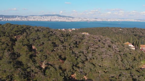 Aerial drone view of Buyukada Prince islands or Adalar Istanbul Turkey