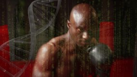 Animation of digital interface with rotating dna strand and data processing over boxer. medical research technology and sport concept digitally generated animation. - Powered by Shutterstock - Get 15% off with code: PIKWIZARD15