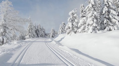 A cross-country skier skies down a trail in a snow-covered winter landscape with trees