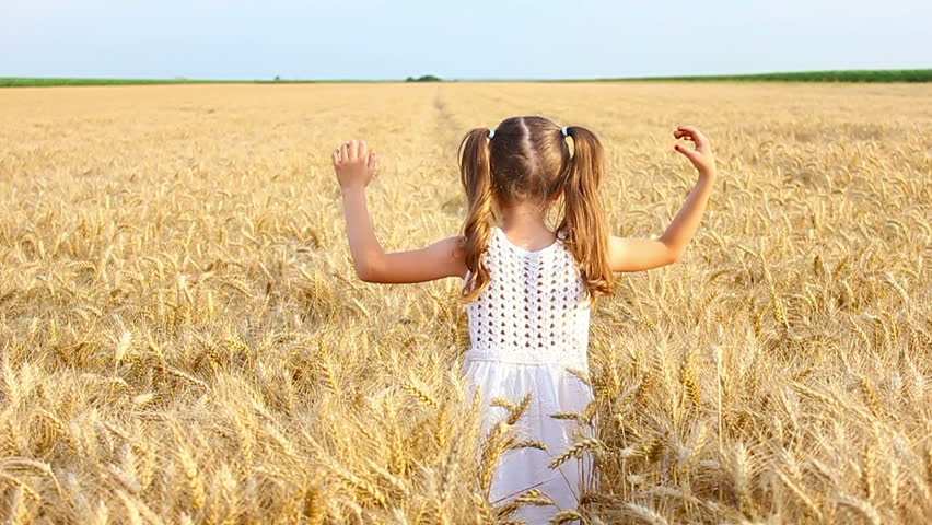 beautiful little girl running through the wheat with open arms