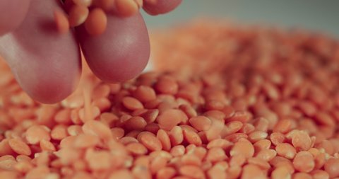 Slow Motion Falling Red Lentils. Macro Shot Lentil Texture Pattern Background. Vegetarian Healthy Organic Food Diet. Raw Organic Red Lentils Grains Fall Slow Motion. Vegetarian Healthy Food.