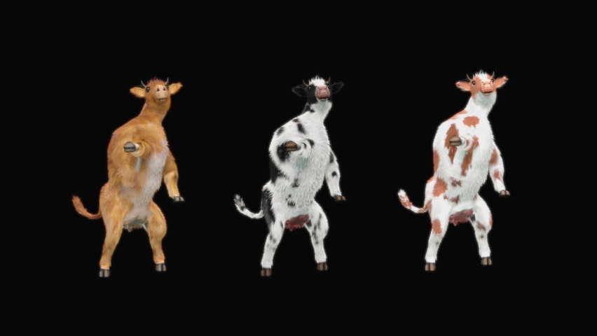 Cow Dancing CG fur. 3d rendering, animal realistic CGI VFX, Animation Loop, composition 3d mapping cartoon, Included in the end of the clip with Alpha matte. Royalty-Free Stock Footage #1075689731
