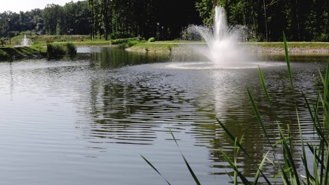 Two fountains in a large pond. City park. Summer in city. Relax on a warm, sunny day.