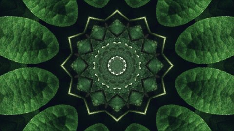 Kaleidoscope background. Hypnotic motion. Green symmetrical fractal design looped animation. Dynamic ethnic abstract texture. Forest trees ornament. 4K Video.