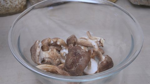 Shiitake Mushrooms Stock Video Footage 4k And Hd Video Clips Shutterstock