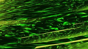 Abstract video clip moving green volumetric background computer generated render