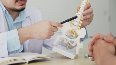 slow motion scene on physical therapist hand pointing on human skeleton at low back to advise and consult to patient to treatment at office for healthcare concept