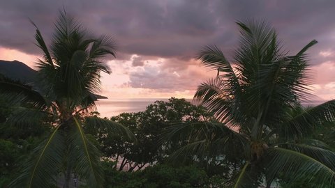 Video from a drone at sunset in the Seychelles, the drone flies to the ocean among the palm trees and flies to the beach to the ocean