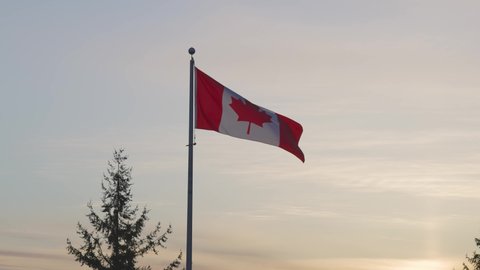 Canadian National Flag in the Wind. Vibrant Sunset. Taken in Burnaby Mountain, Vancouver, British Columbia, Canada. Slow Motion