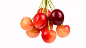 A bunch of cherries vibrates like a pendulum. Oscillations slowly turn into rotation. Fresh juicy sweet cherry rotate. Sweet-cherry texture. Side view. 4K UHD video footage 3840X2160.