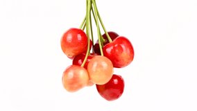 A bunch of cherries rotate clockwise. Fresh juicy sweet cherry rotate. Sweet-cherry texture. Side view. 4K UHD video footage 3840X2160.