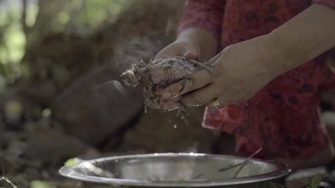Manipuri hands pluck feathers from small quail, backlit by sunlight
