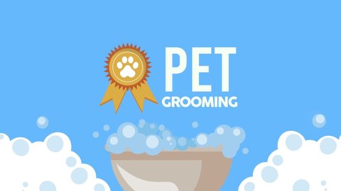 pet grooming service lettering with bath tub ,4k video animated