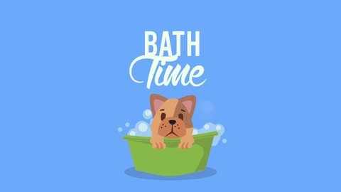 bath time lettering with cute dog in tub ,4k video animated