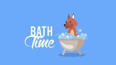 bath time lettering with dog in tub ,4k video animated