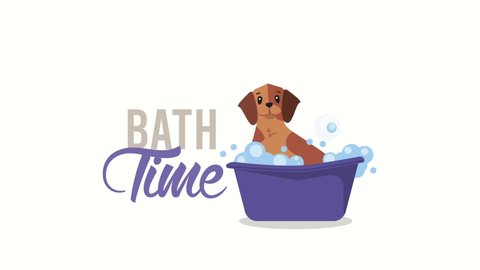 bath time lettering with dog in tub animation ,4k video animated