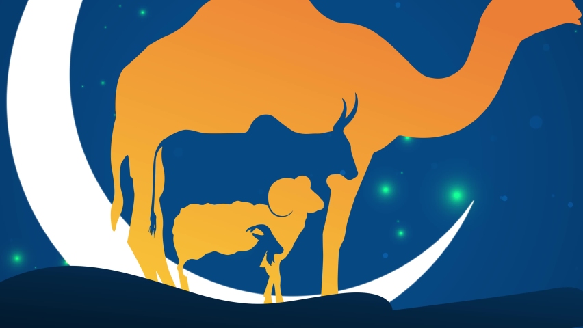 Eid Al Adha Celebration of Muslim holiday Background. The sacrifice a camel, cow, sheep and goat Eid-al-adha concept video animation.