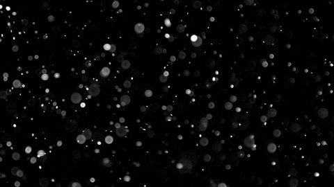 Natural Organic Dust Particles Floating On Black Background. Dynamic Dust Particles Randomly Float In Space. Shimmering Glittering Dust Particles. Perfect for the layer with different blending modes.