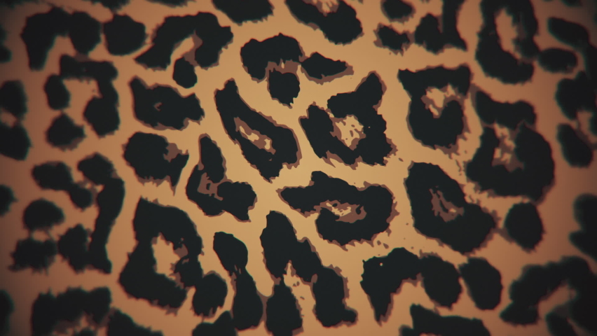 Simple leopard print motion background. This animal print background animation is full HD and a seamless loop. | Shutterstock HD Video #1075815716