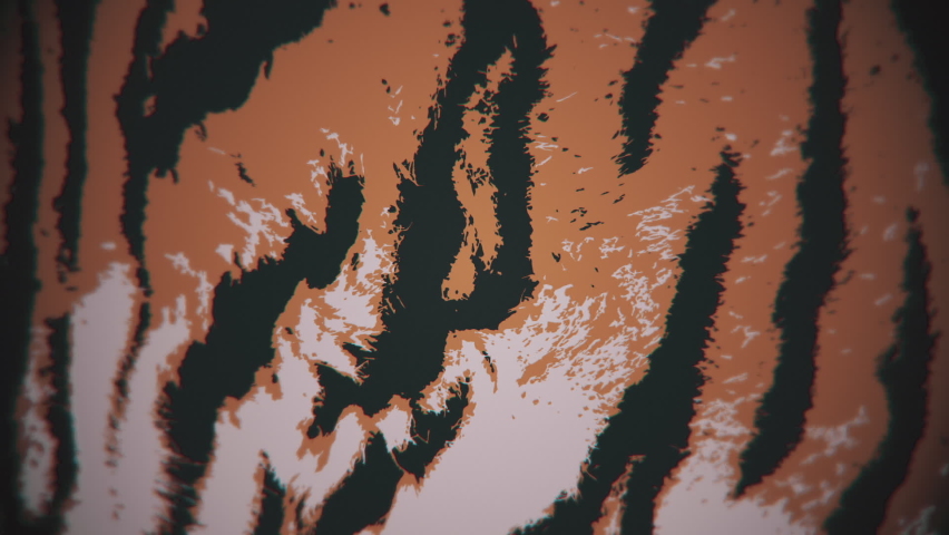 Tiger print motion background. This striped animal print background animation is full HD and a seamless loop.