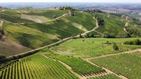 Europe, Italy , Oltrepo Pavia , Broni and Cigognola  aerial view from drone of countryside landscape with vineyards for wine production in Po Valley ( pianura padana ) - road pass between row of vines