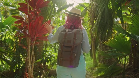 Camera following traveler woman with vibrant pink hair and backpack. Slow motion female hiking by the tropical garden in jungle forest on Hawaii island. Sunbeams flare shining through lavish greenery
