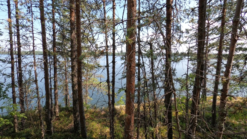 Tent camp in the forest by the lake.  The tent is on the very shore.  A wonderful view opens from the cliff.