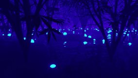 3D looping animation misty fantasy forest glow orbs - Powered by Shutterstock - Get 15% off with code: PIKWIZARD15