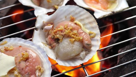 Delicious Grilled scallops on on the flame in a hot charcoal stove, Grilled scallops shell with butter and garlic.